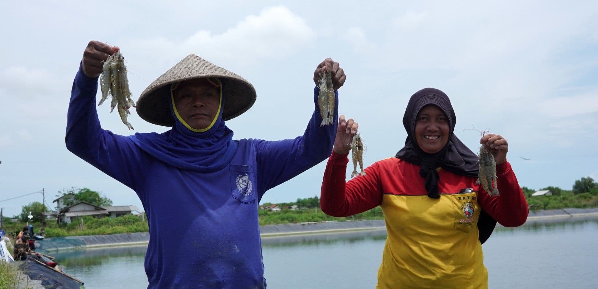 Cover - Efisiensi Tambak Udang.jpg