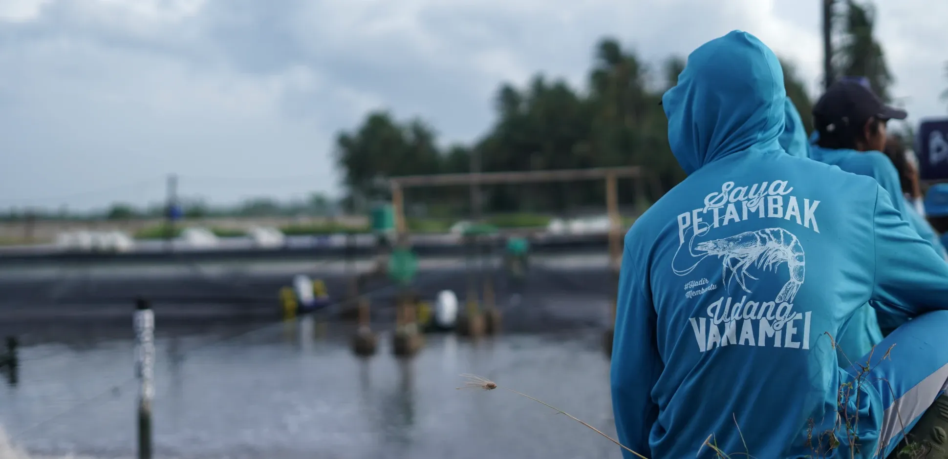 Cover - Monitoring Tambak Udang.webp