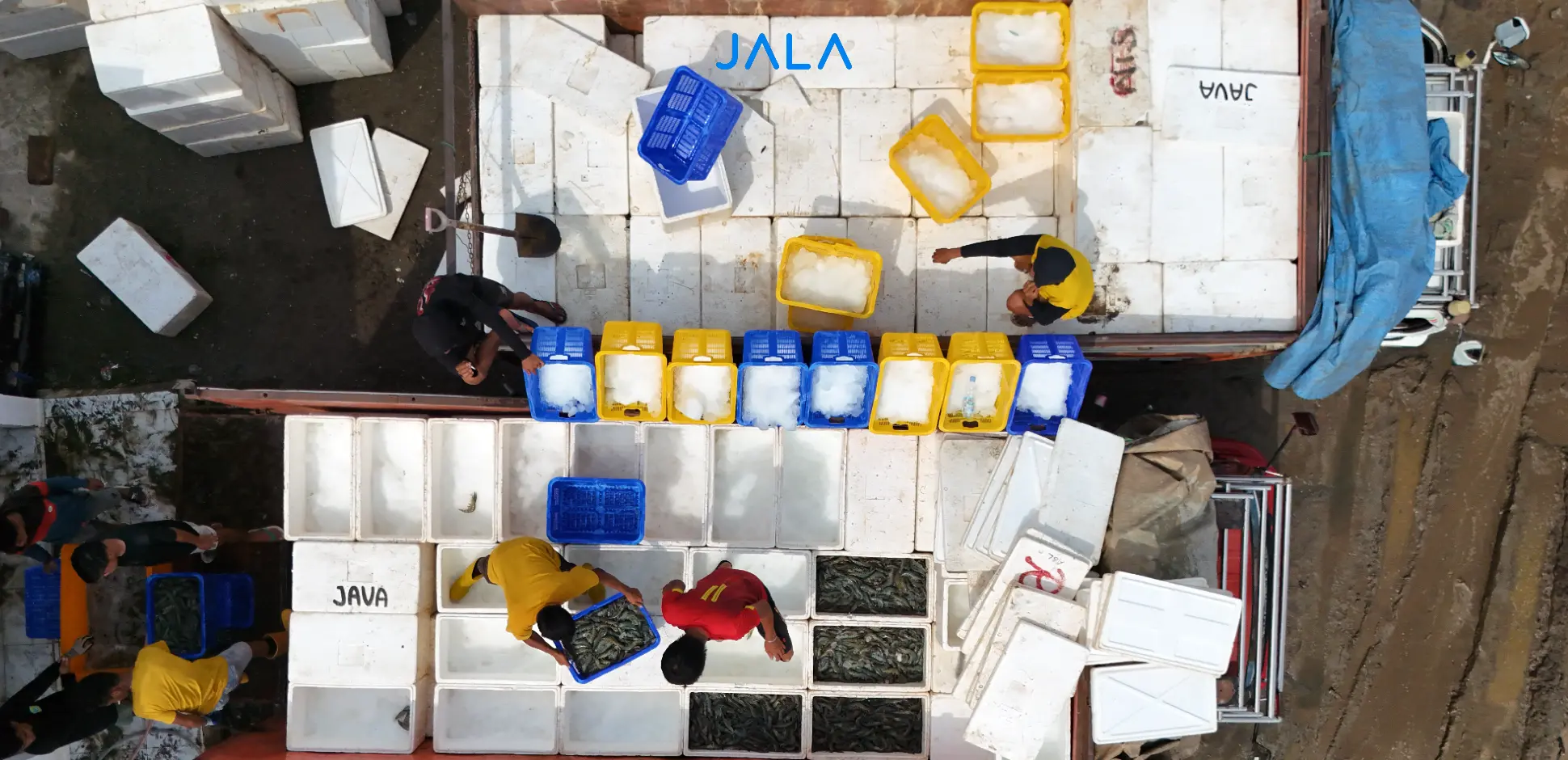 Cover - Udang Indonesia.webp