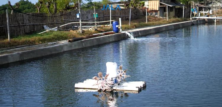 The Role of Reservoir in Shrimp Cultivation