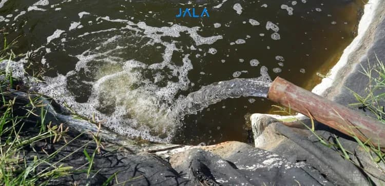 Optimizing Bore Well Water Sources for Shrimp Farming